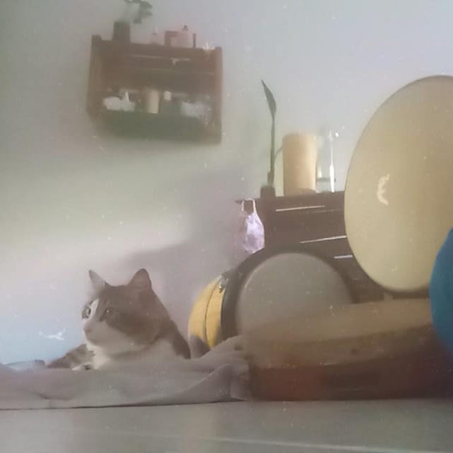 toque do habitar